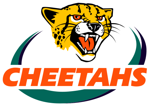 523px-logo_cheetahs_rugby_svg.png